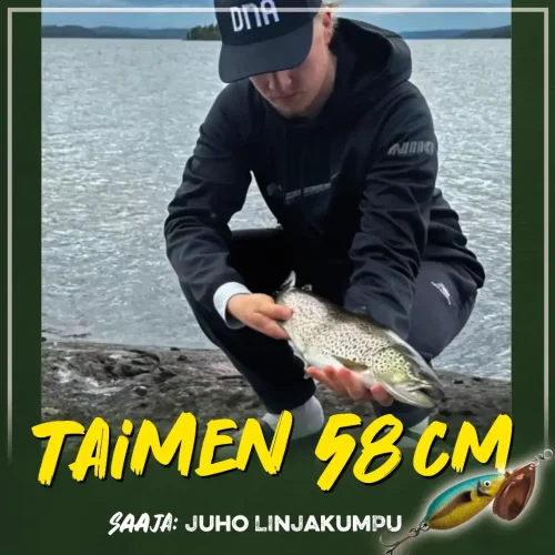 Hieno 58cm taimen Vapaalla jalalla -Bete Lotolla.