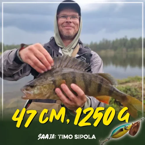 Upea yli kilon ennätysahven Vapaalla jalalla -Bete Lotolla.